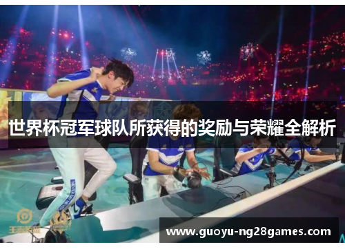 世界杯冠军球队所获得的奖励与荣耀全解析