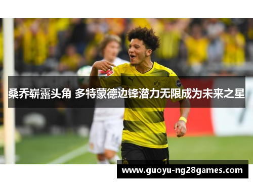 桑乔崭露头角 多特蒙德边锋潜力无限成为未来之星 桑乔崭露头角 多特蒙德边锋潜力无限成为未来之星