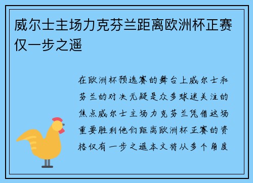 威尔士主场力克芬兰距离欧洲杯正赛仅一步之遥